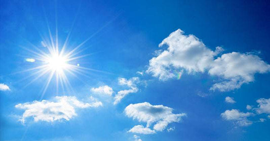 Study Finds Vitamin D Is Linked To Low Virus Death Rate
