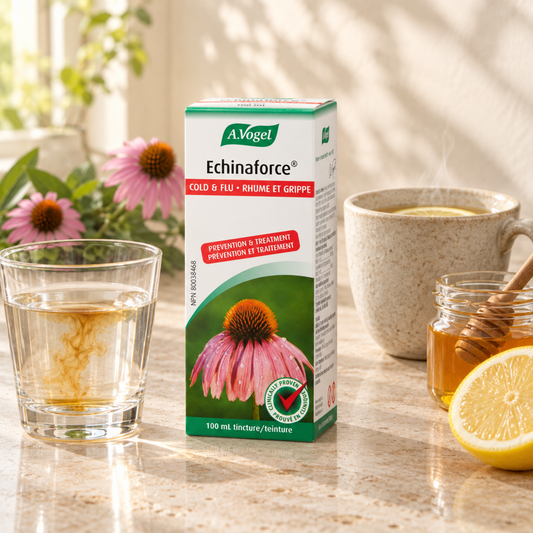 Echinaforce Cold & Flu Tincture, 100ml