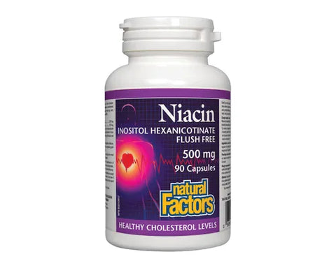 Natural Factors Niacin 500mg 90 Capsules