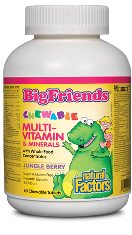 Natural Factors Chewable Multivitamin & Minerals with Whole Food Concentrates, Jungle Berry, Big Friends, 60 Chewable tabs